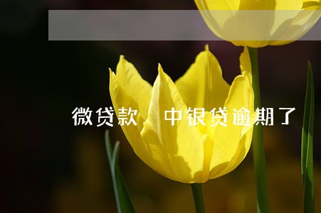 微贷款 中银贷逾期了